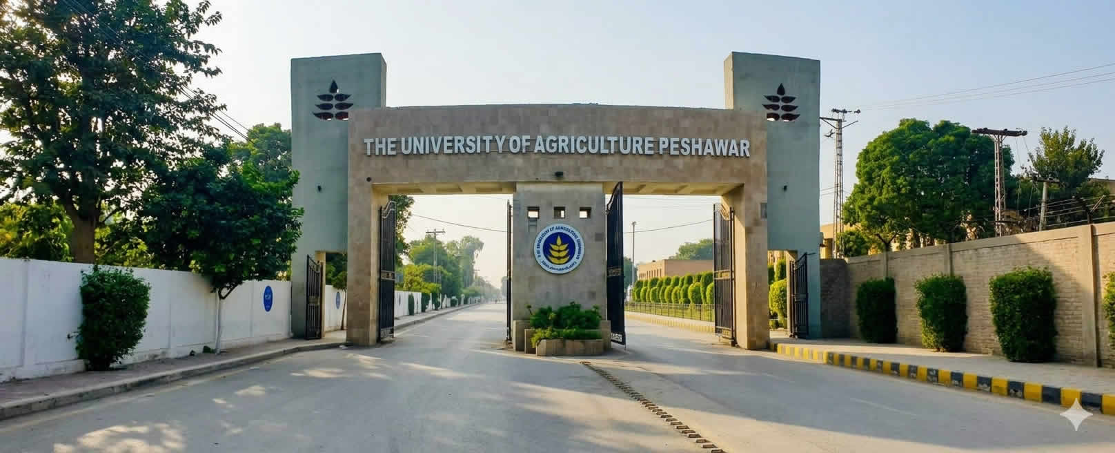 Education to Rural Communities